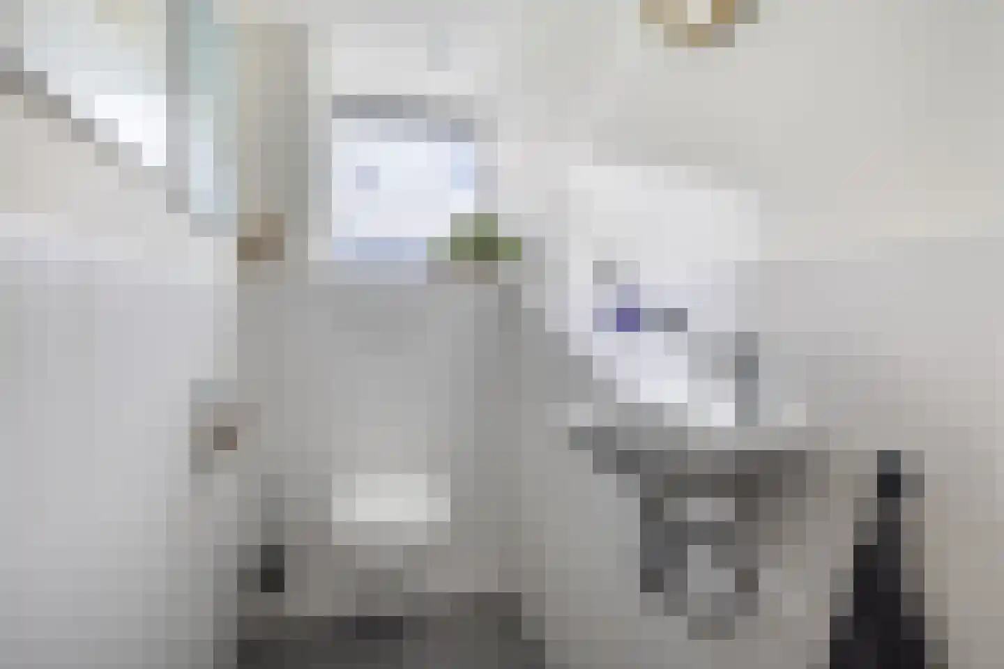 Hommemastrjitte 12 Dronryp thumbnail 28