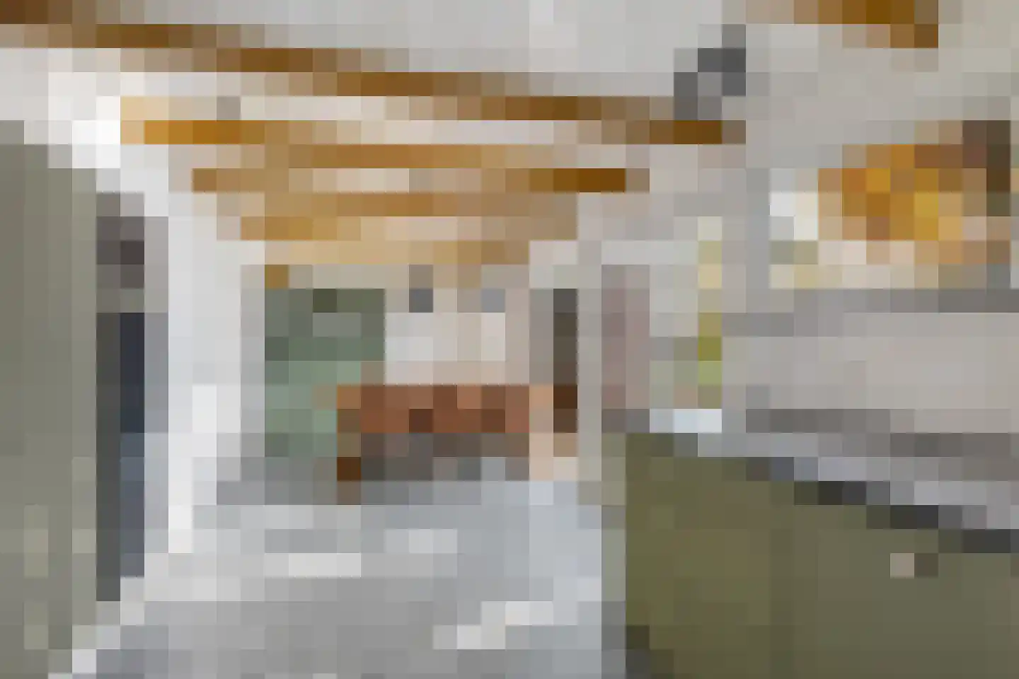 Hommemastrjitte 12 Dronryp foto 3