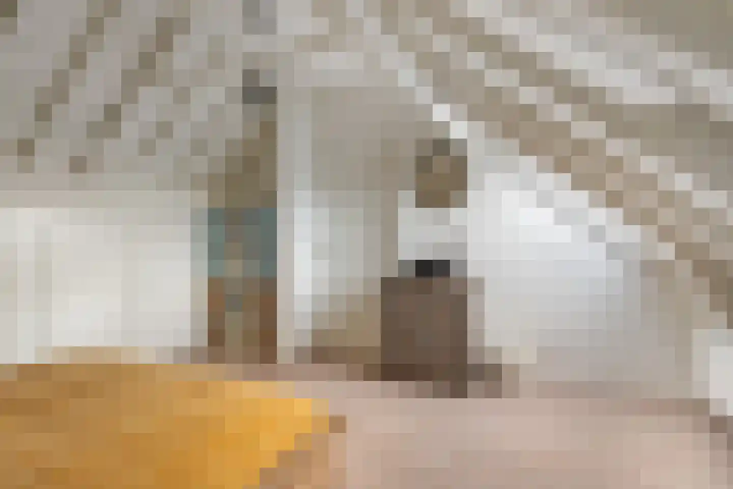 Hommemastrjitte 12 Dronryp thumbnail 37