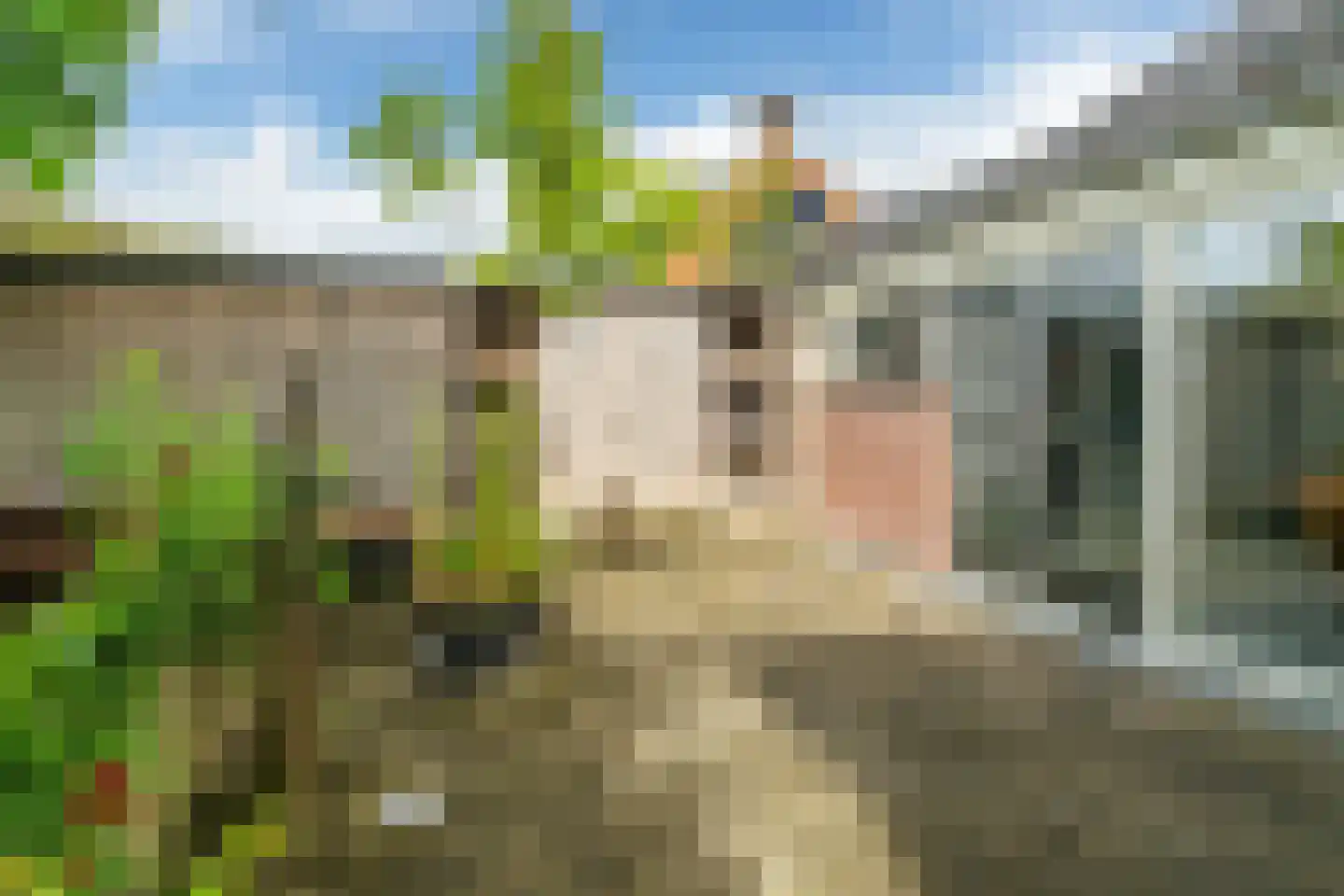 Hommemastrjitte 12 Dronryp thumbnail 39