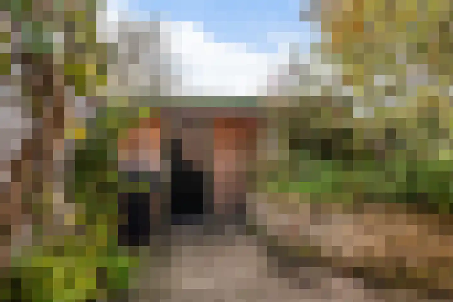 Hommemastrjitte 12 Dronryp thumbnail 41