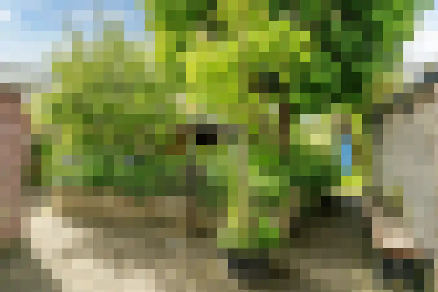 Hommemastrjitte 12 Dronryp thumbnail 42