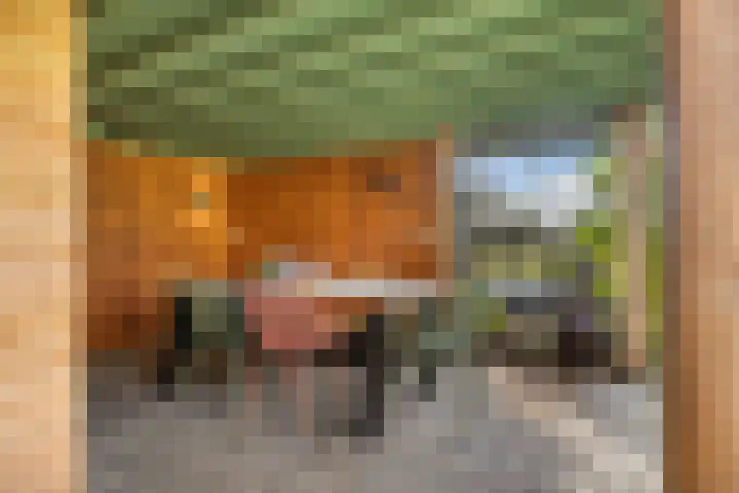 Hommemastrjitte 12 Dronryp thumbnail 43