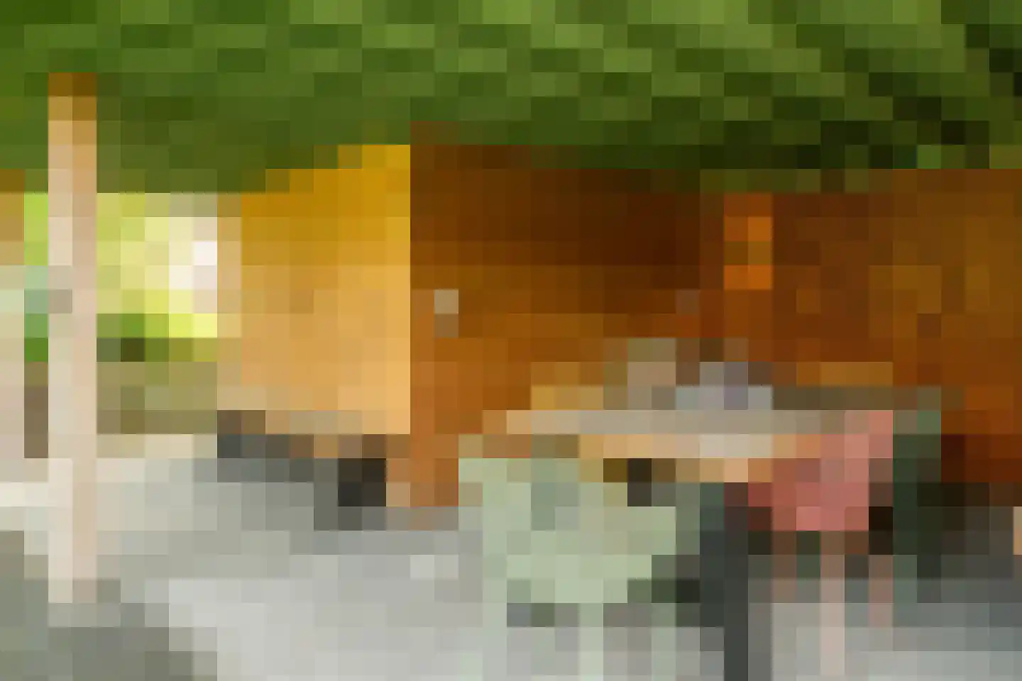 Hommemastrjitte 12 Dronryp thumbnail 44