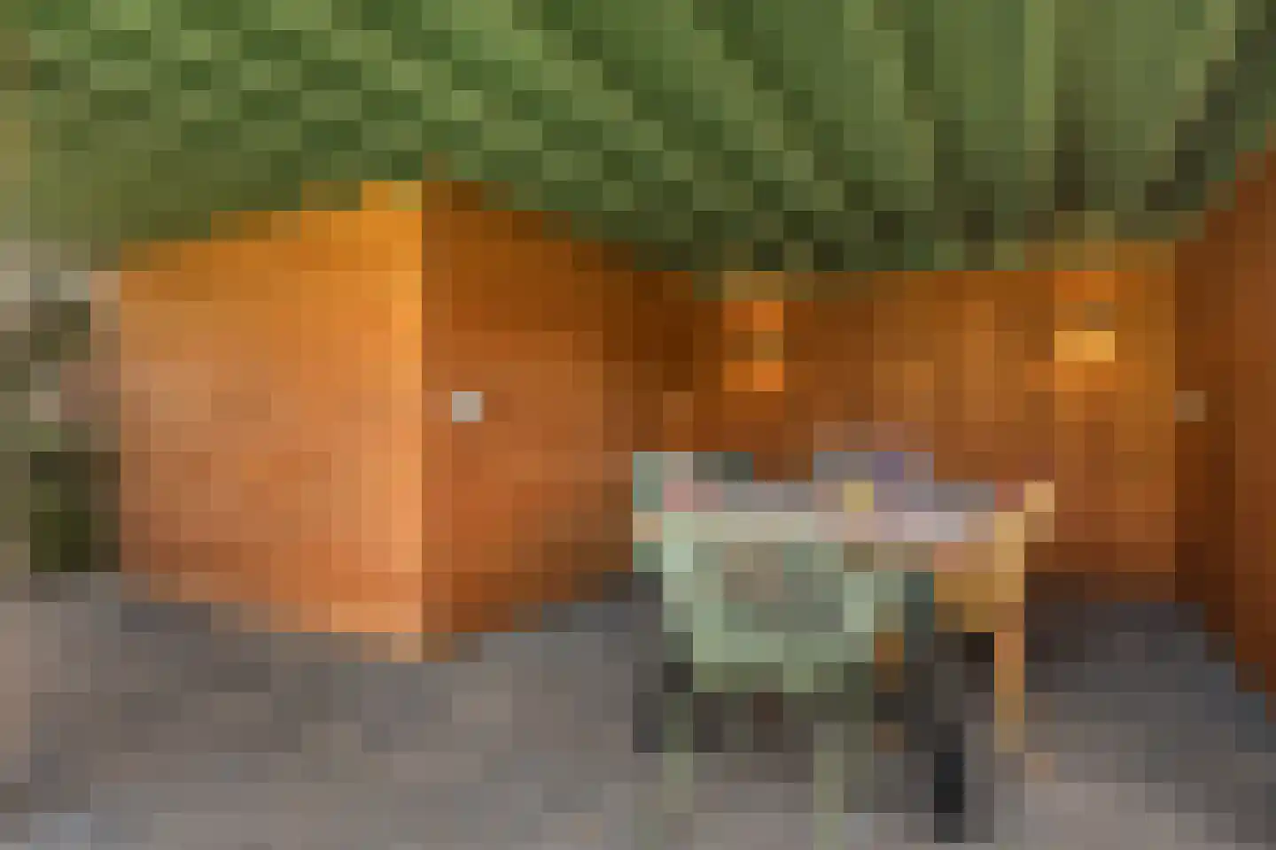 Hommemastrjitte 12 Dronryp thumbnail 46