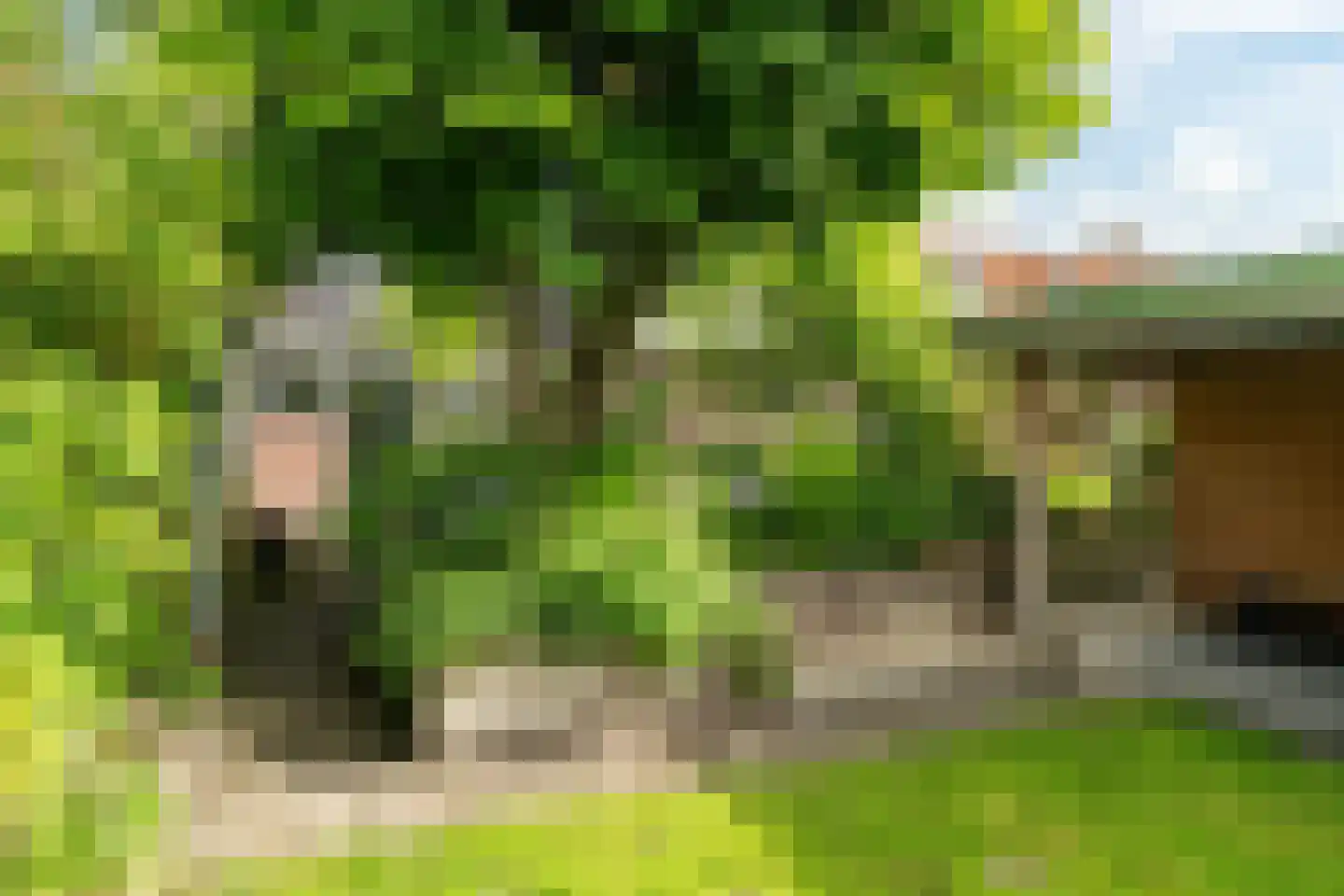 Hommemastrjitte 12 Dronryp thumbnail 47