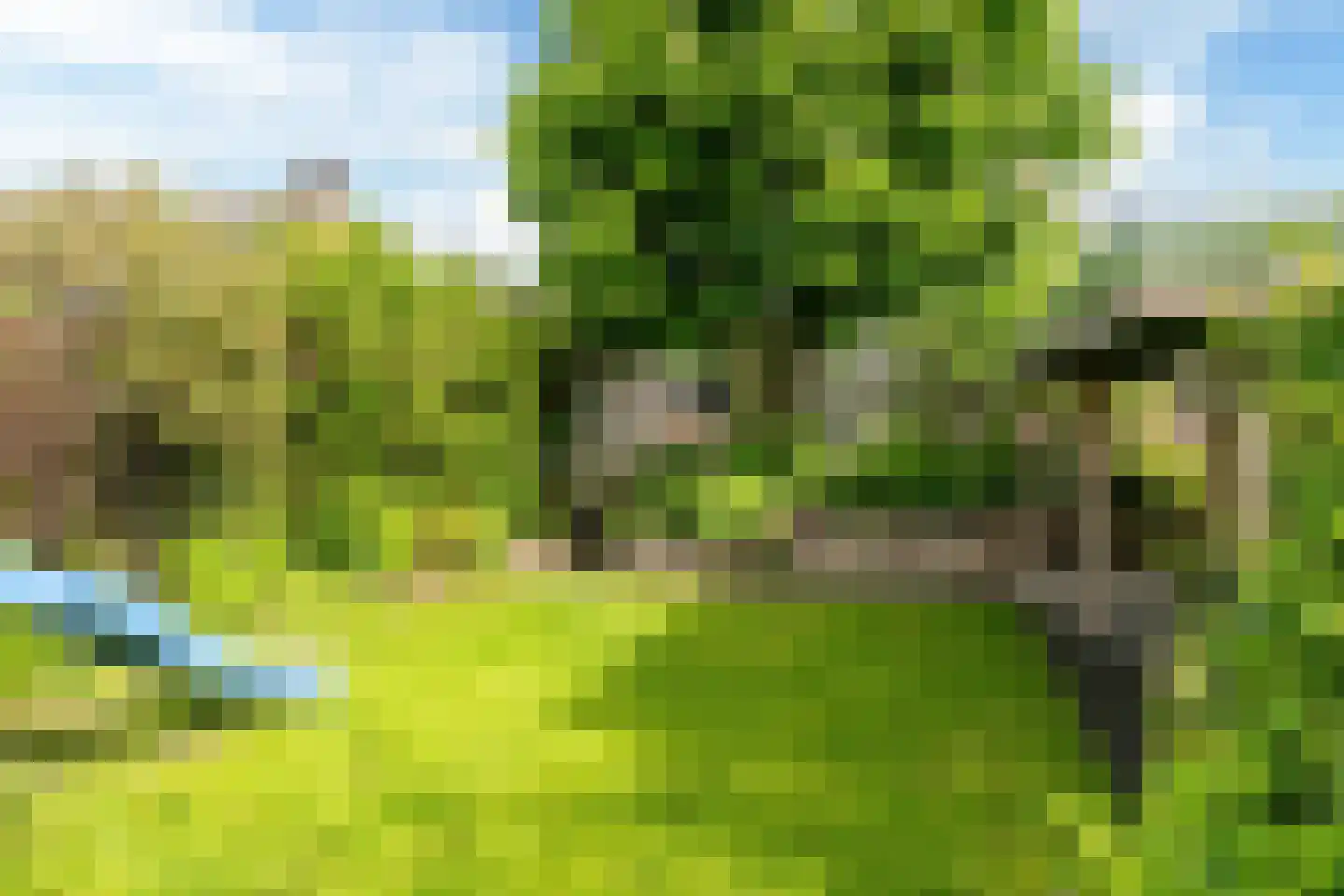 Hommemastrjitte 12 Dronryp thumbnail 48