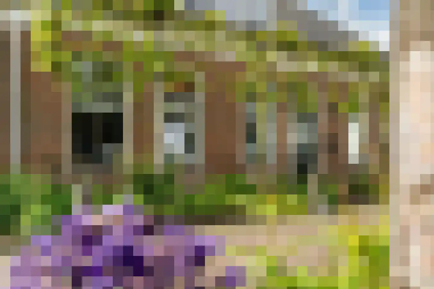 Hommemastrjitte 12 Dronryp thumbnail 5