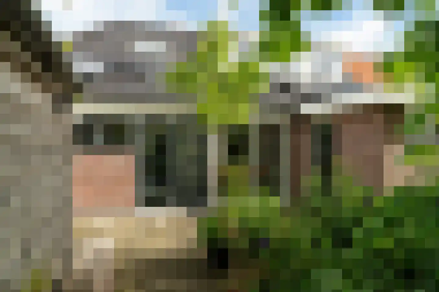 Hommemastrjitte 12 Dronryp thumbnail 5