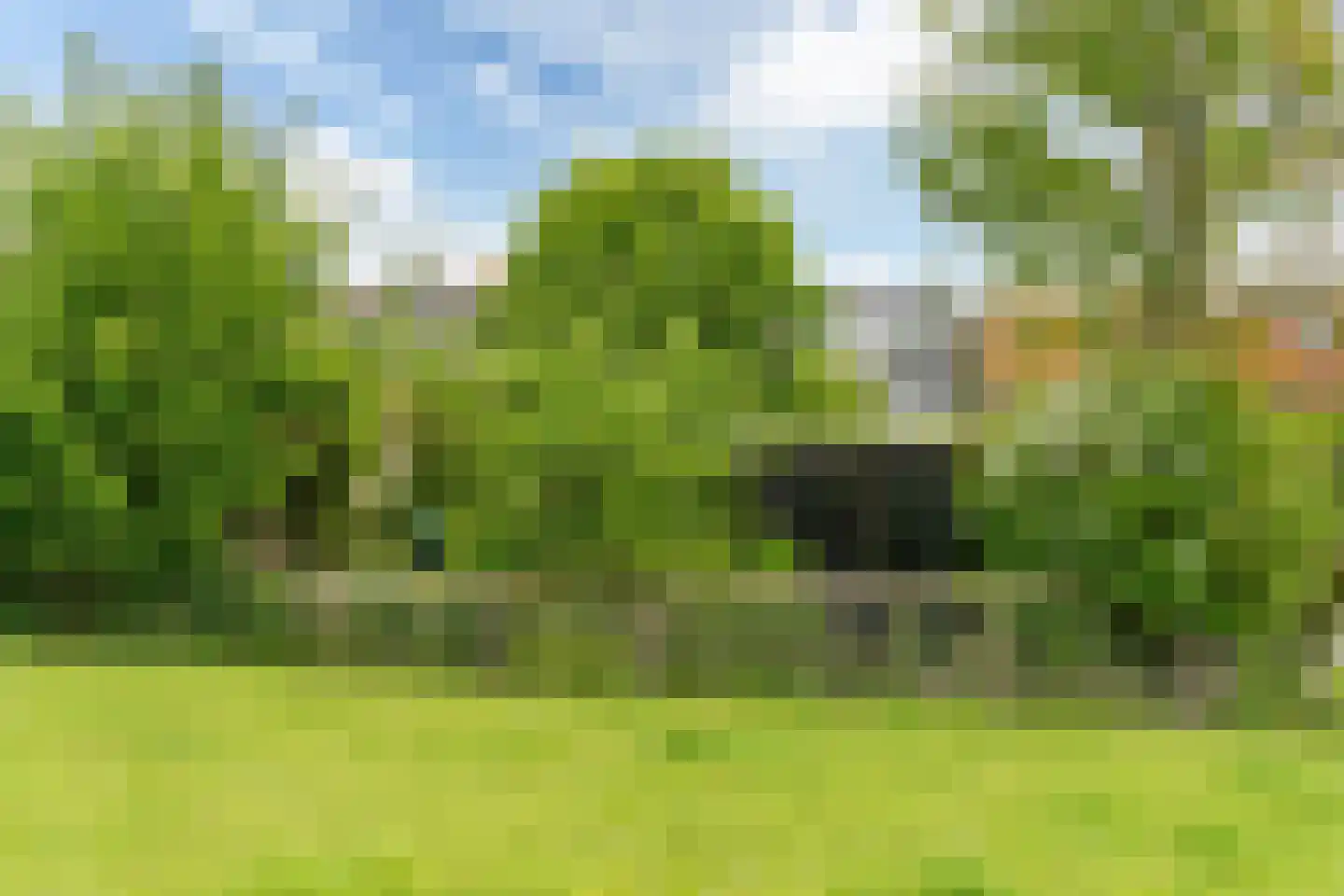Hommemastrjitte 12 Dronryp thumbnail 50