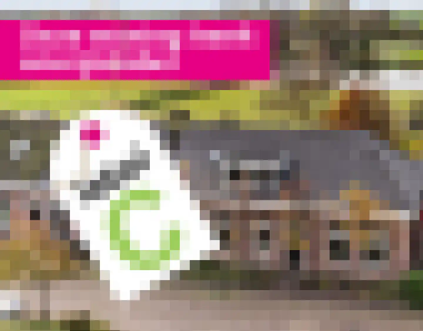 Hommemastrjitte 12 Dronryp thumbnail 53