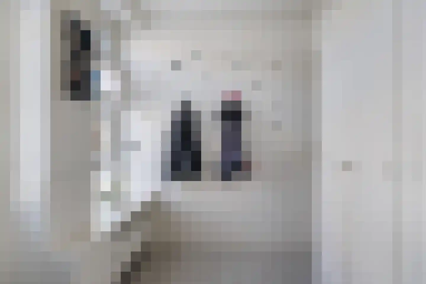Hommemastrjitte 12 Dronryp thumbnail 8