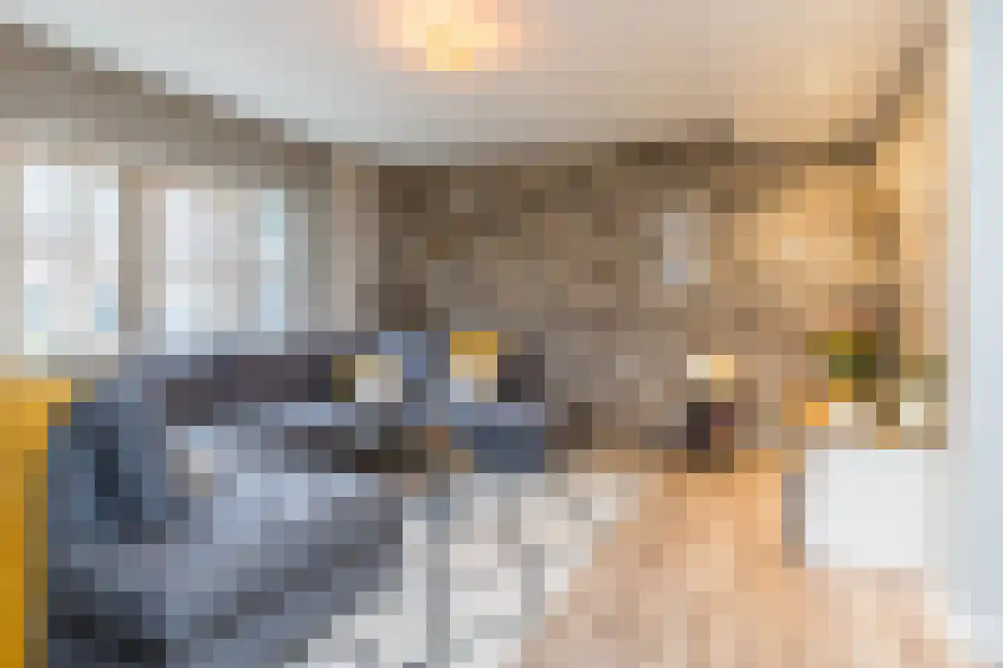 Hommert 10 a Nuth thumbnail 11