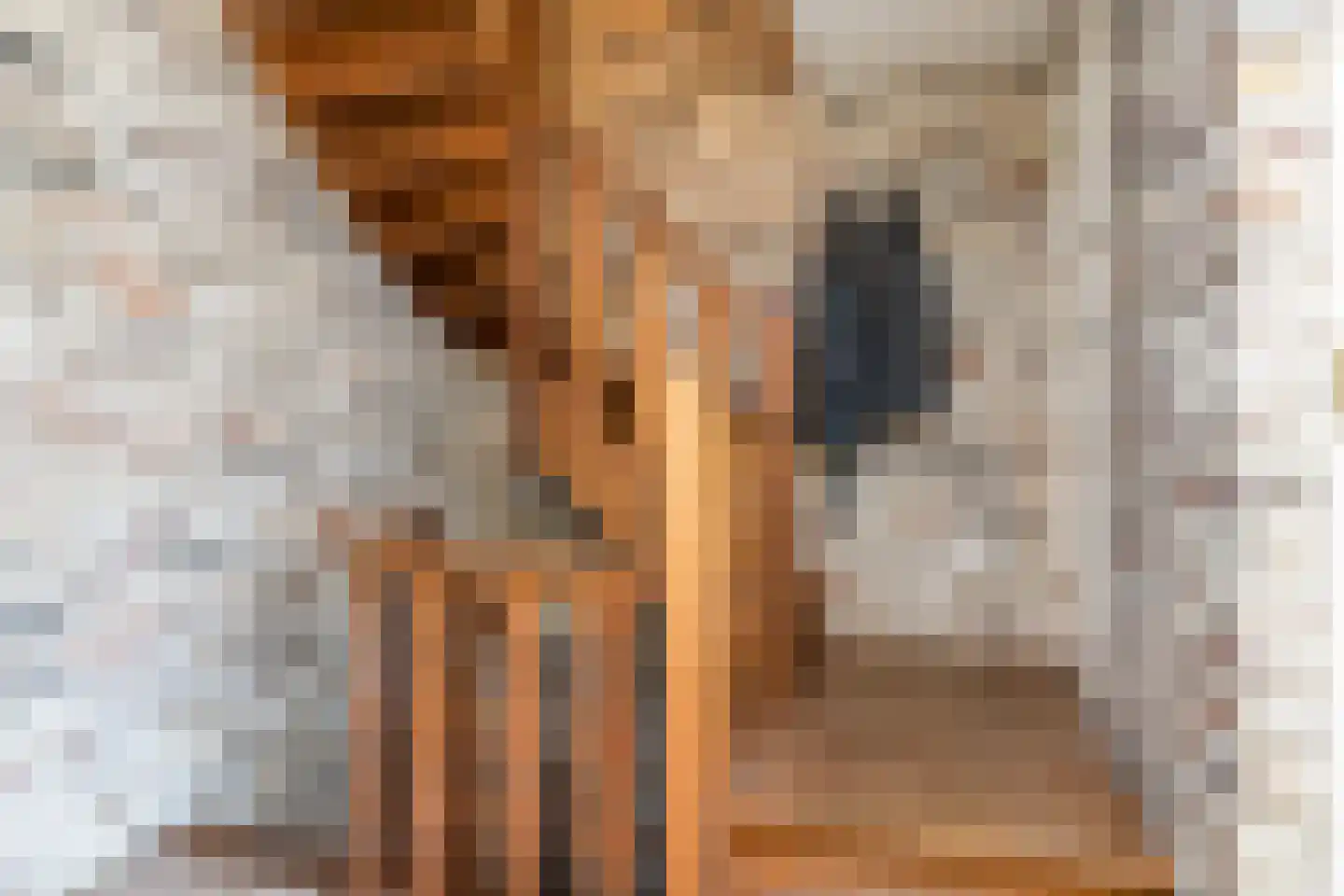 Hommert 10 a Nuth thumbnail 24