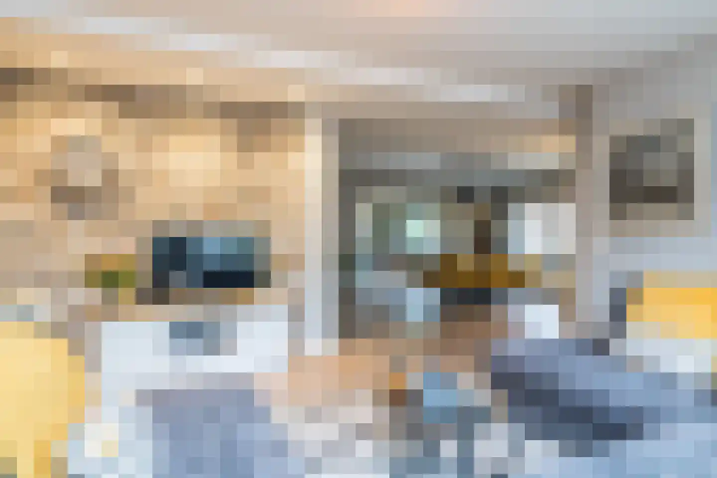 Hommert 10 a Nuth thumbnail 6
