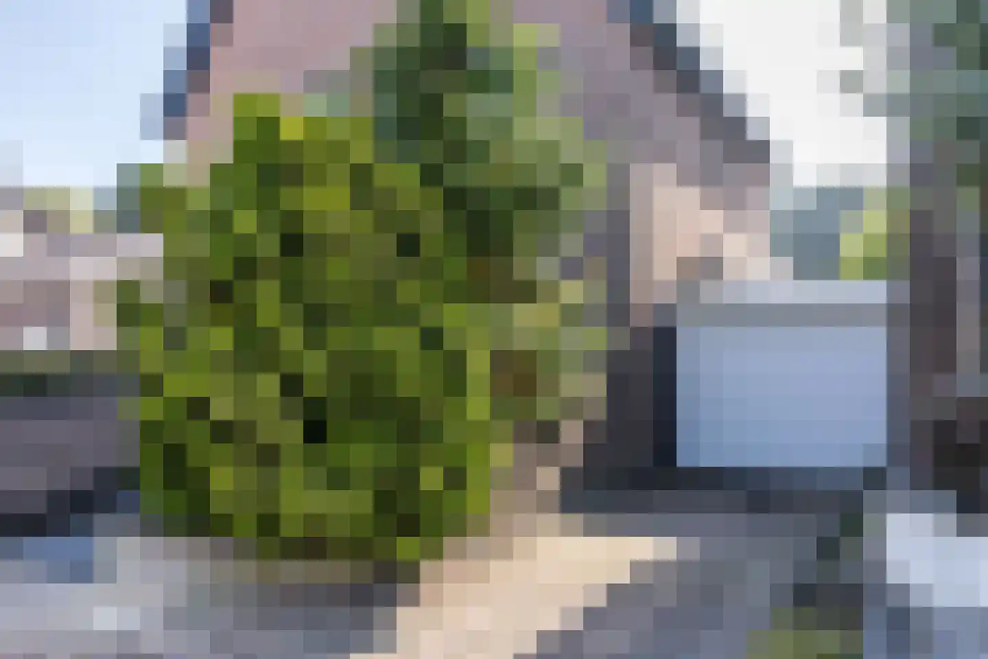 Hommert 10 a Nuth thumbnail 71