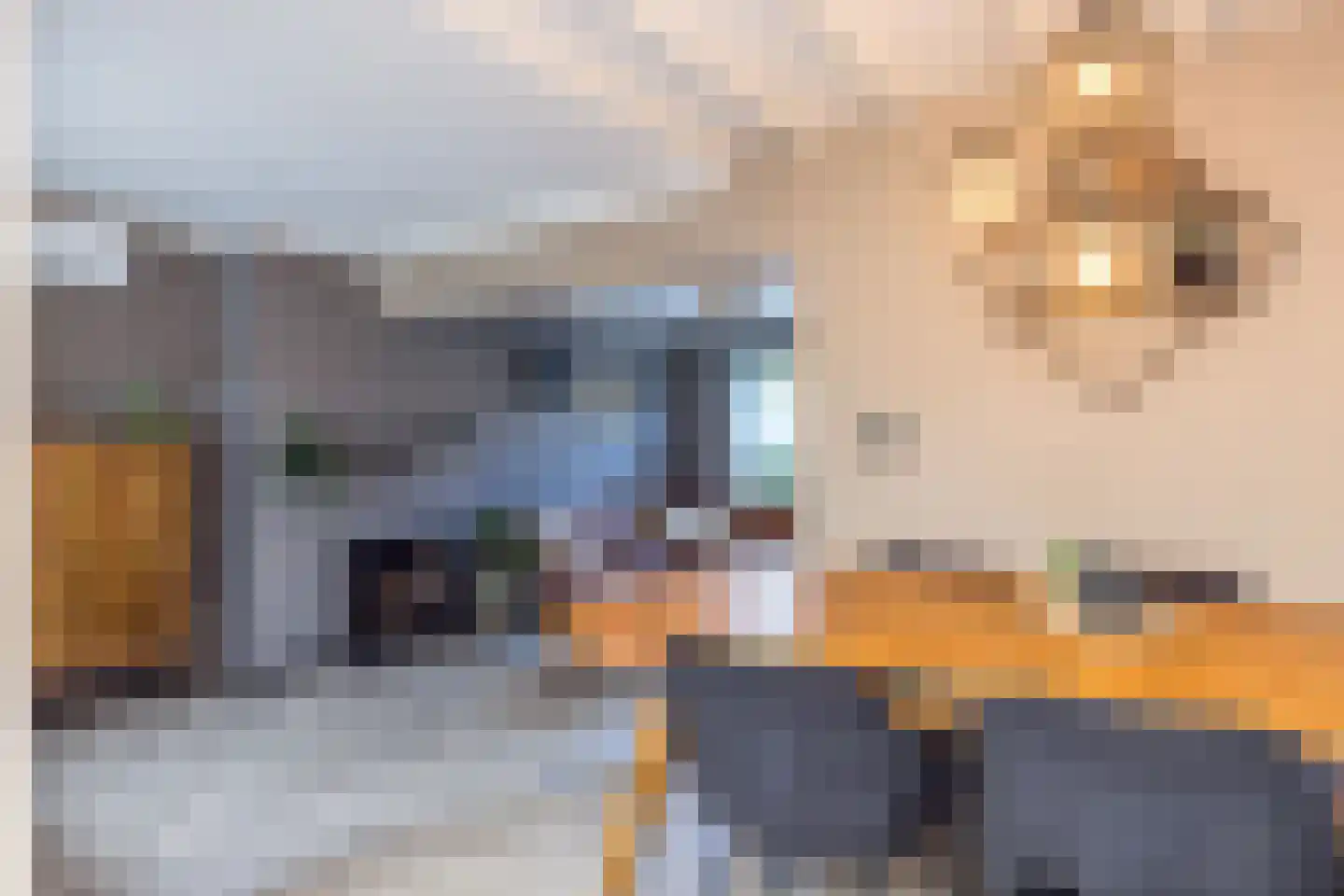 Hommerter Allee 15 Amstenrade thumbnail 13