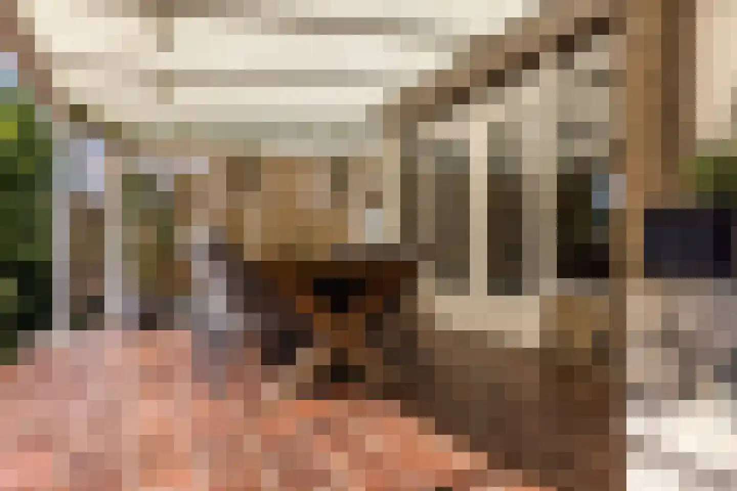 Hommerter Allee 15 Amstenrade thumbnail 48