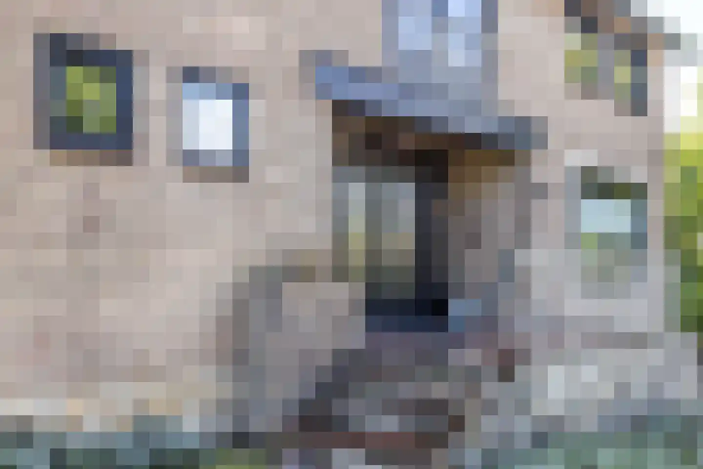 Hommerter Allee 15 Amstenrade thumbnail 49