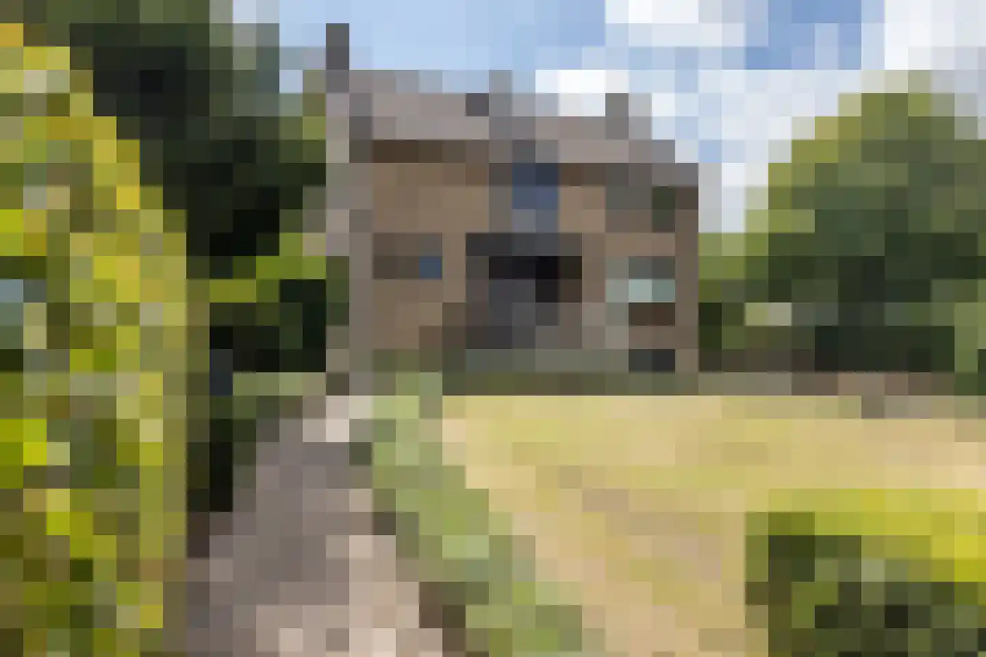 Hommerter Allee 15 Amstenrade thumbnail 52