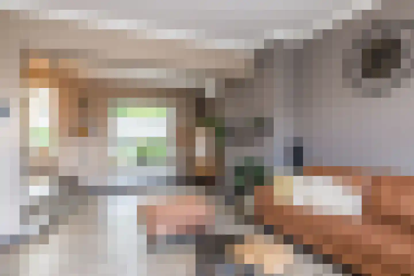 Hommerter Allee 15 Amstenrade thumbnail 9