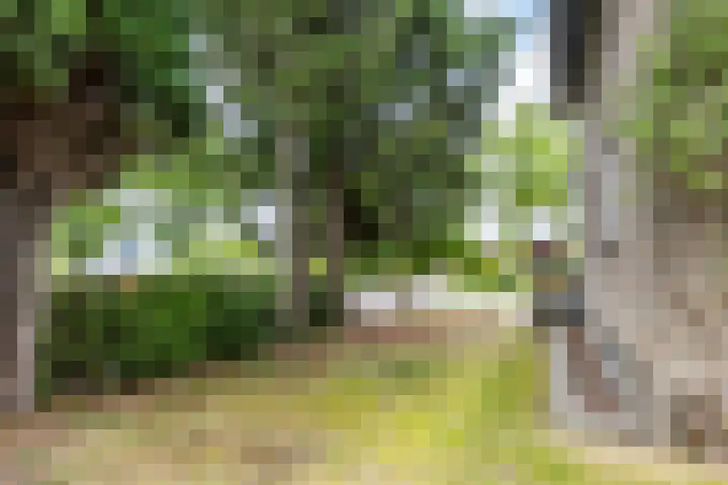 Hommerter Allee 34 Amstenrade thumbnail 43