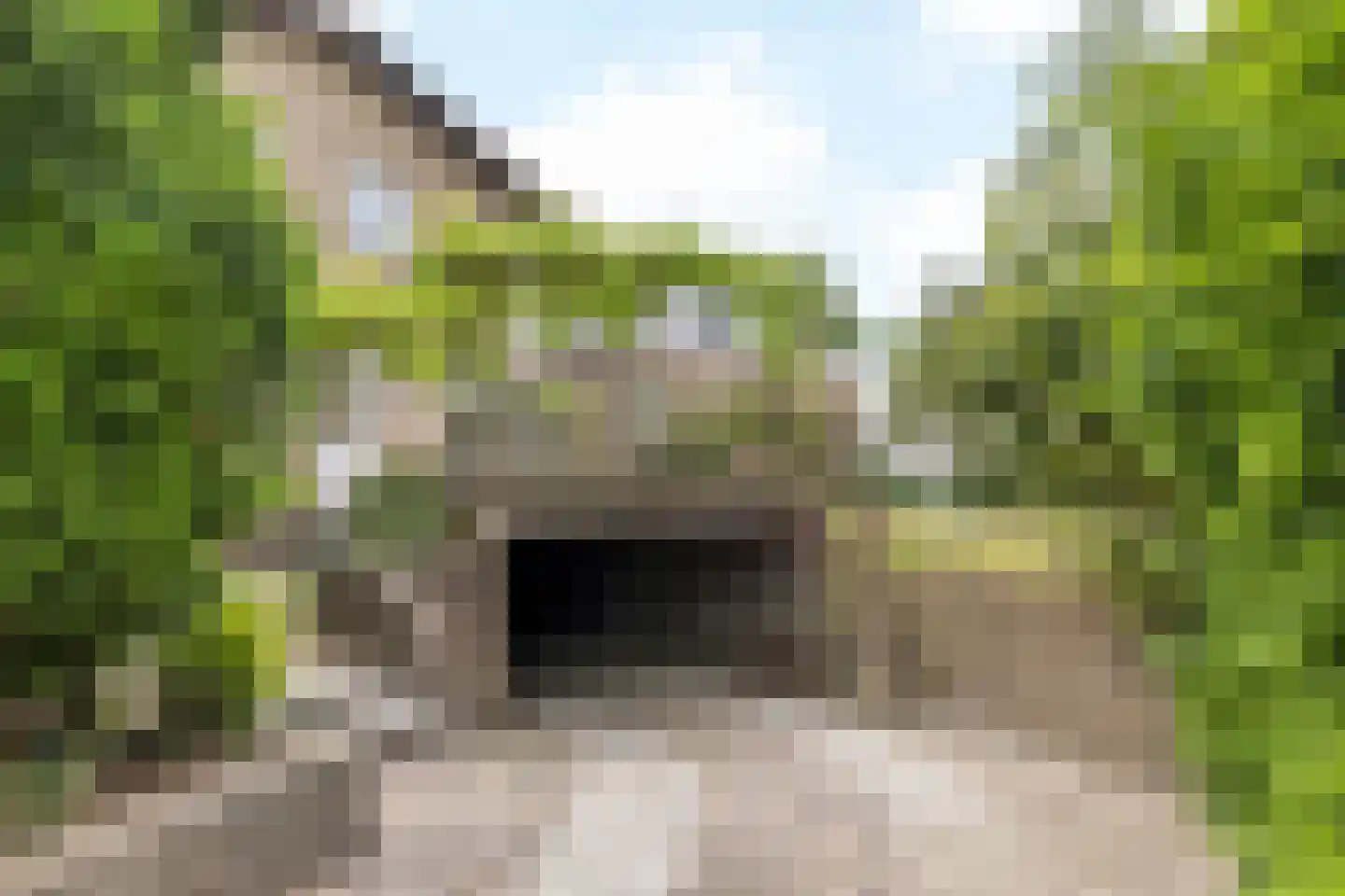 Hommerter Allee 34 Amstenrade thumbnail 45