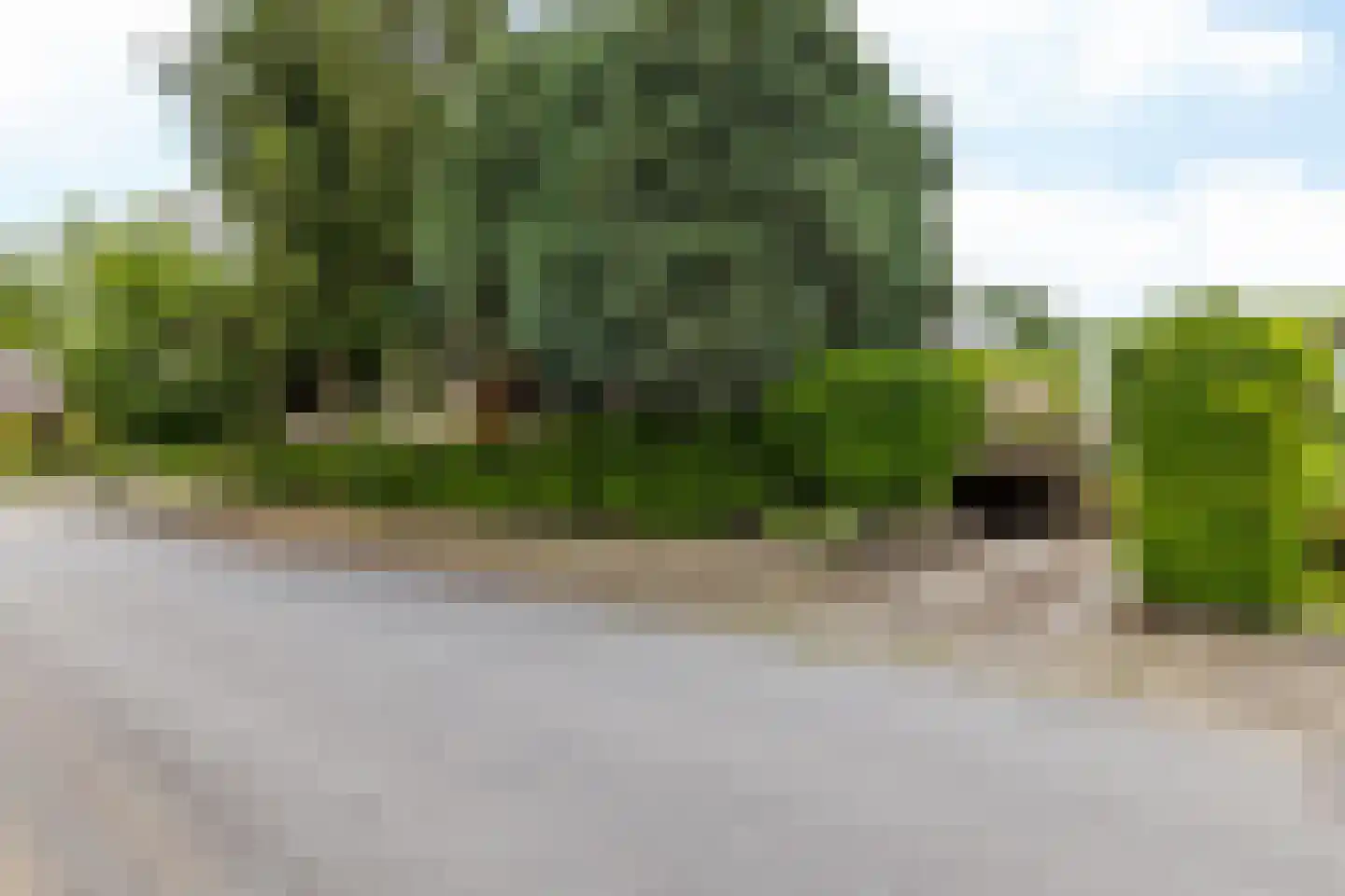 Hommerter Allee 34 Amstenrade thumbnail 46