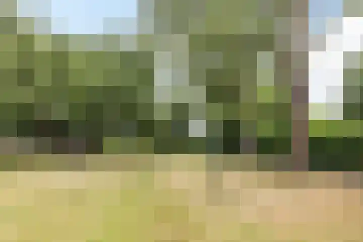 Hommerter Allee 84 Amstenrade thumbnail 35