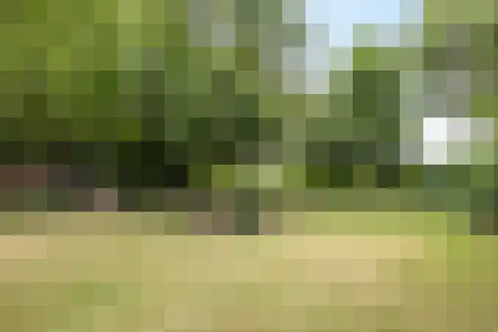 Hommerter Allee 84 Amstenrade thumbnail 36