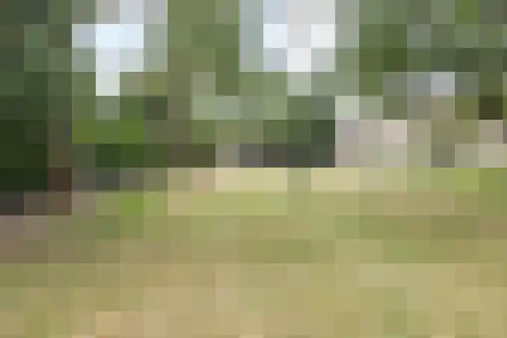 Hommerter Allee 84 Amstenrade thumbnail 38