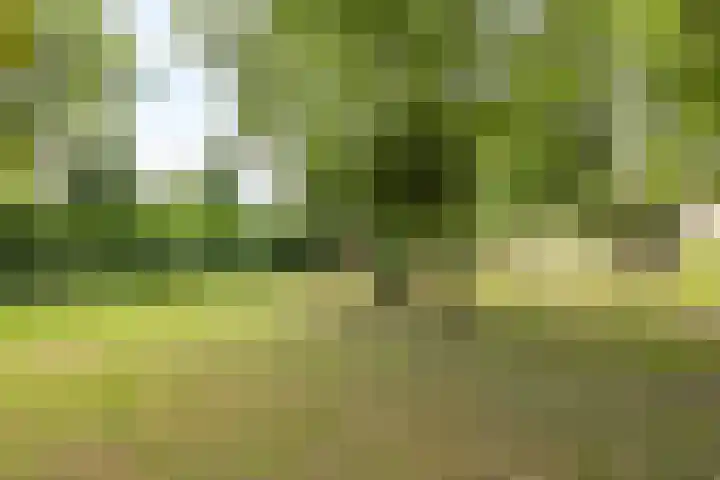 Hommerter Allee 84 Amstenrade thumbnail 39