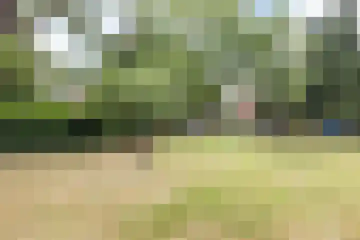 Hommerter Allee 84 Amstenrade thumbnail 40