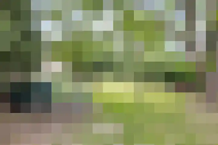 Hommerter Allee 84 Amstenrade thumbnail 41