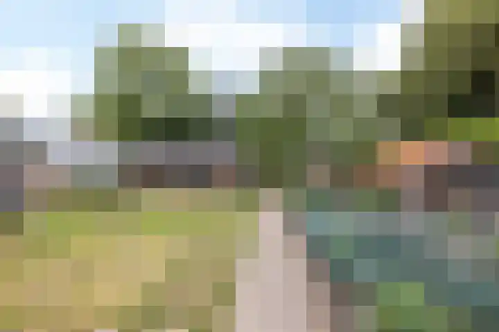 Hommerter Allee 84 Amstenrade thumbnail 42