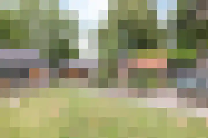 Hommerter Allee 84 Amstenrade thumbnail 45