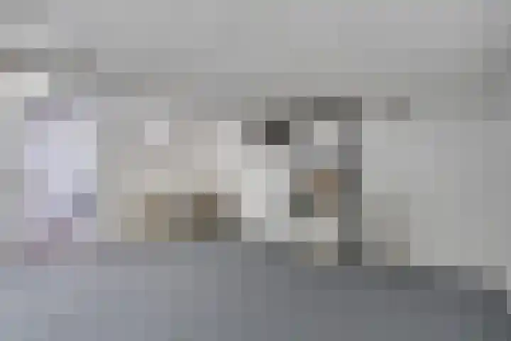 Hommerterweg 1 Schinnen thumbnail 26