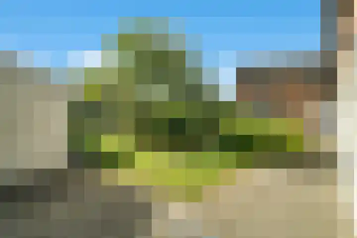 Hommerterweg 1 Schinnen thumbnail 38
