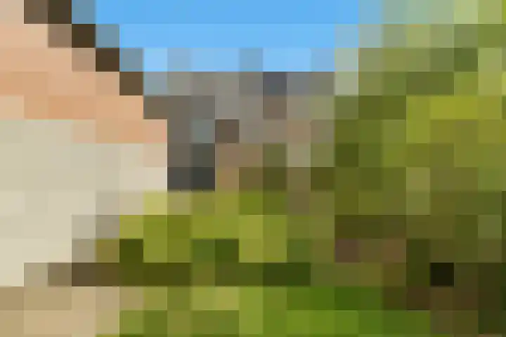 Hommerterweg 1 Schinnen thumbnail 39