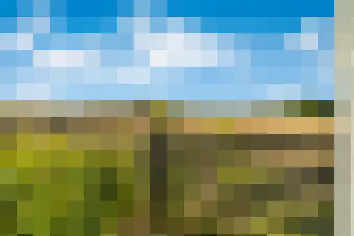 Hommerterweg 1 Schinnen thumbnail 40