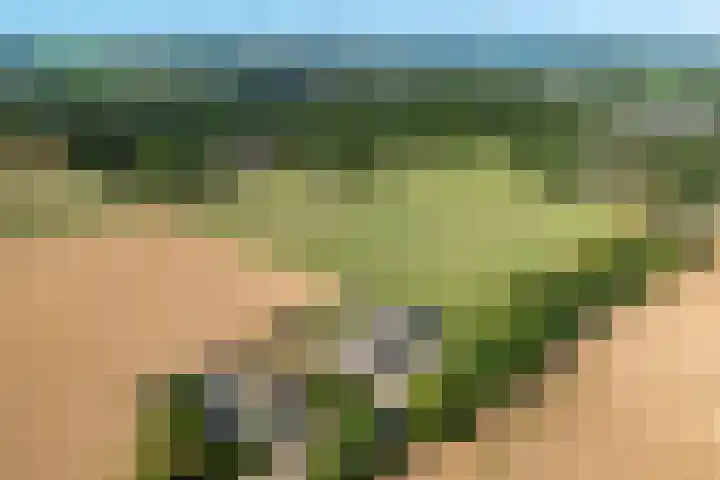Hommerterweg 1 Schinnen thumbnail 44
