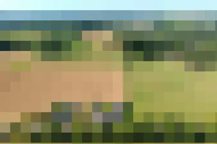 Hommerterweg 1 Schinnen thumbnail 45