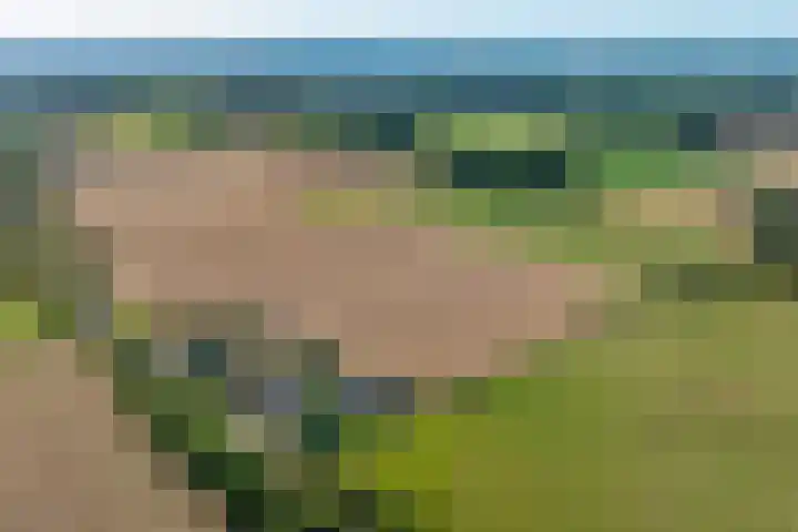 Hommerterweg 1 Schinnen thumbnail 46