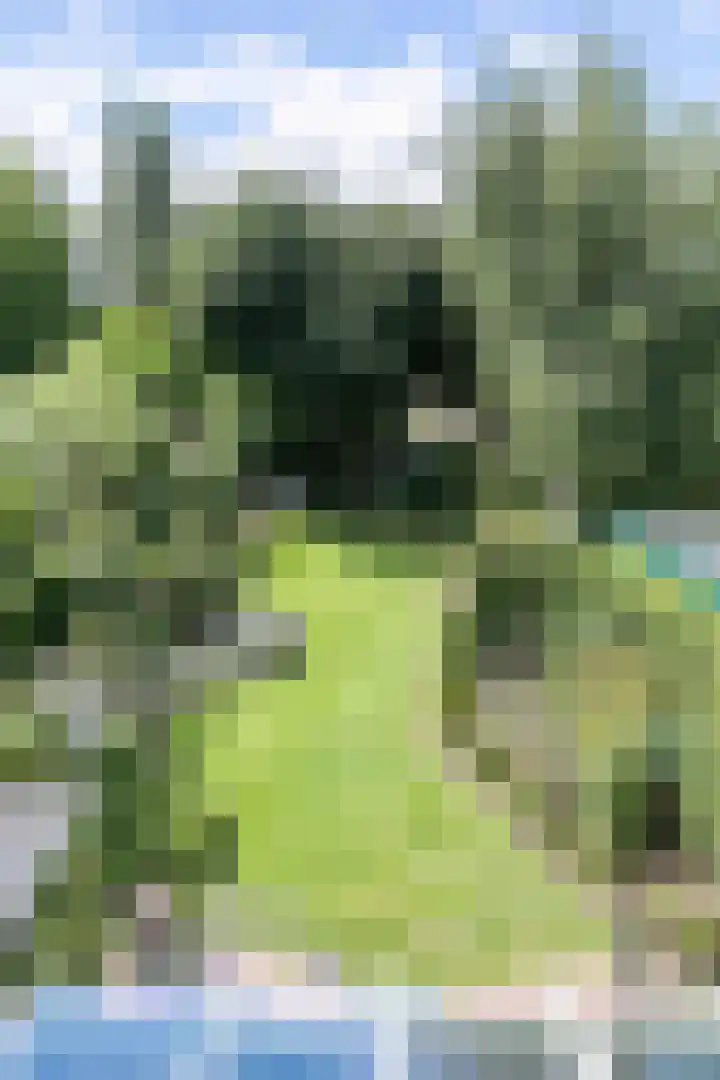 Hommerterweg 223 Hoensbroek thumbnail 25
