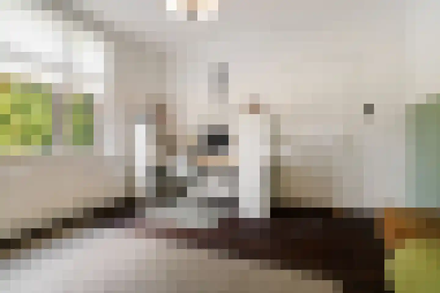Hommerterweg 224 Hoensbroek thumbnail 26
