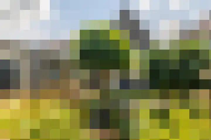 Hommerterweg 56 Hoensbroek thumbnail 35