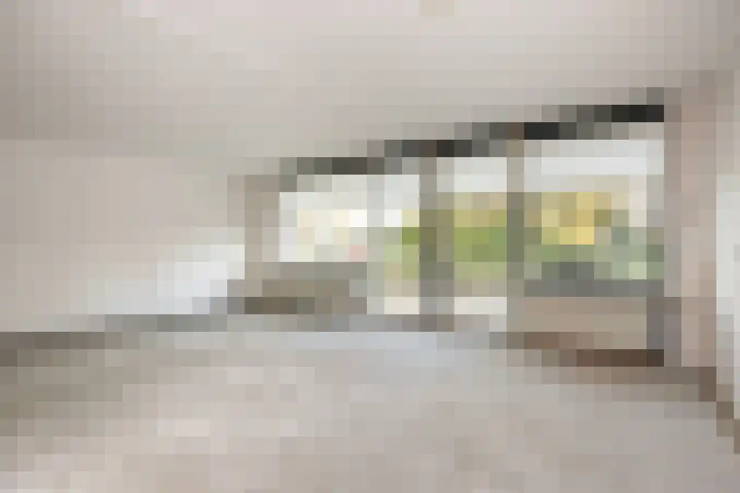 Homoet 1 A Veenendaal thumbnail 14