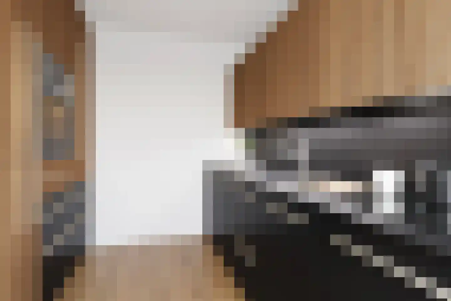 Homoet 1 A Veenendaal thumbnail 17