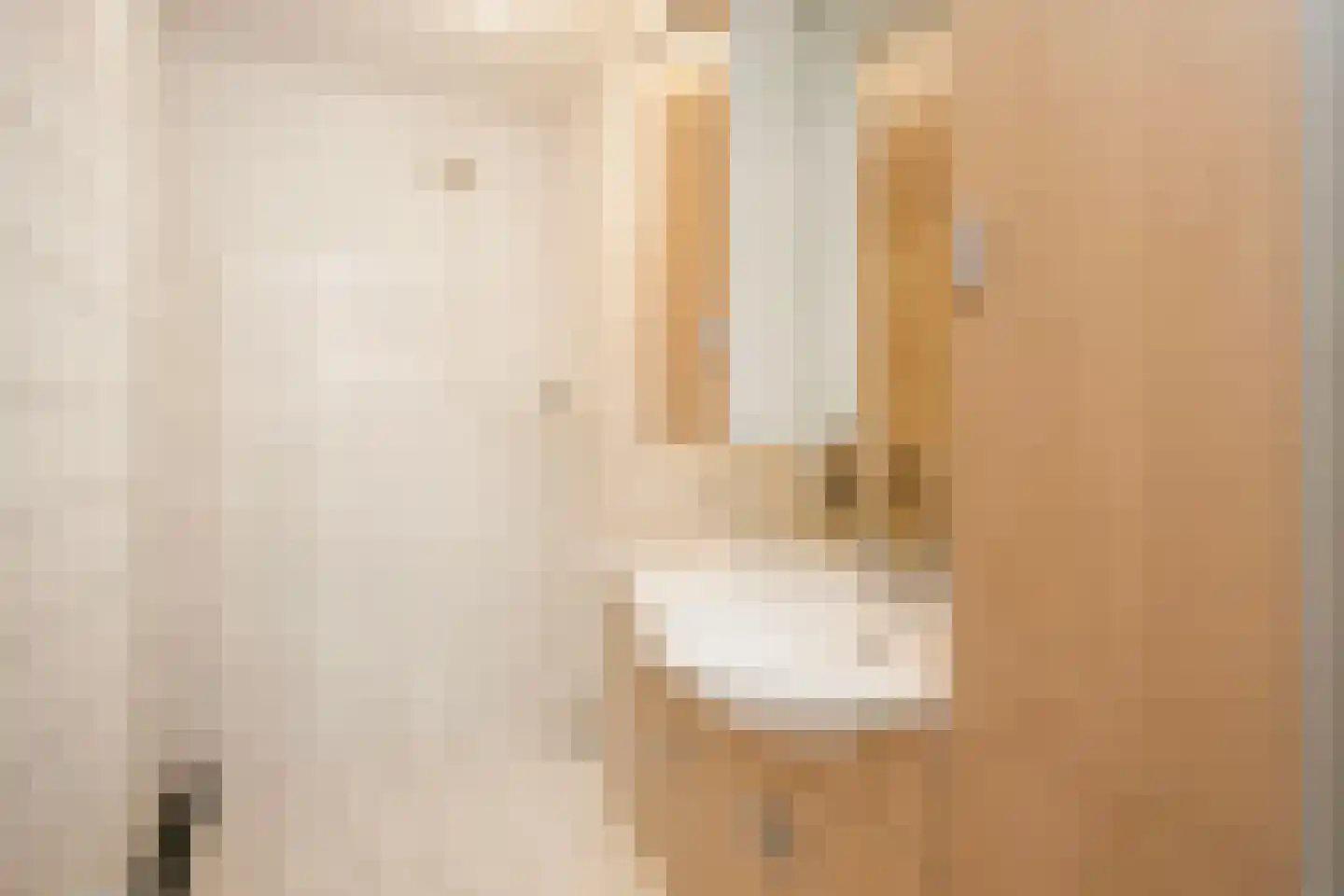 Homoet 1 A Veenendaal thumbnail 25