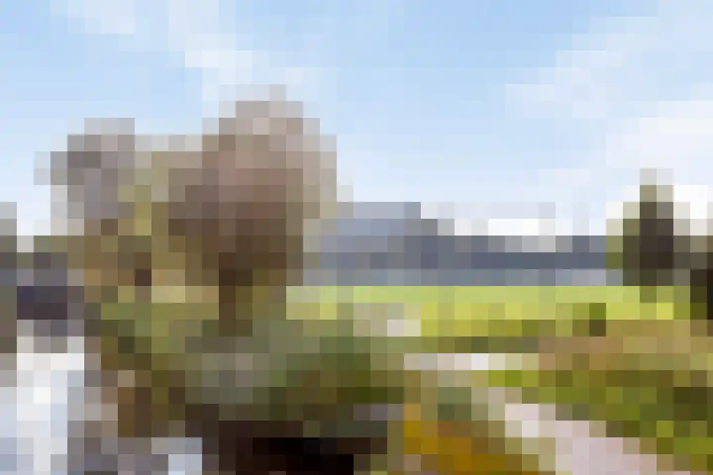 Homoet 1 A Veenendaal thumbnail 31